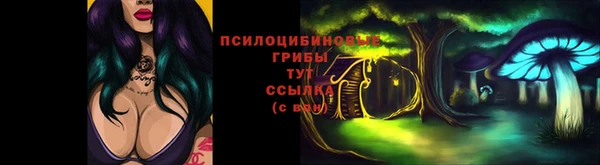 героин Богданович