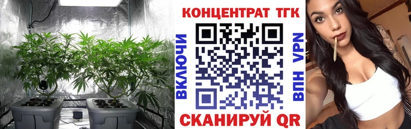 KRAKEN ссылка  Кудымкар  ТГК концентрат 